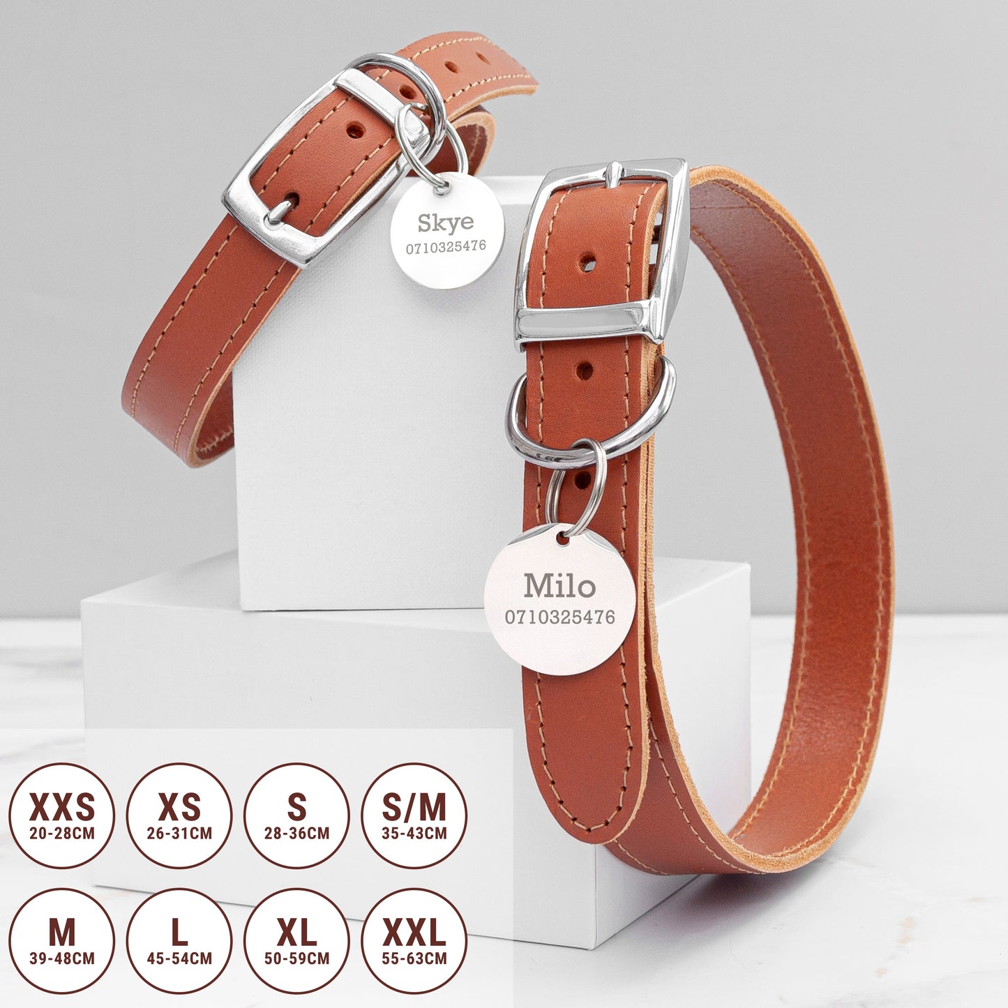 Personalised Classic Leather Dog Collar with Tag
