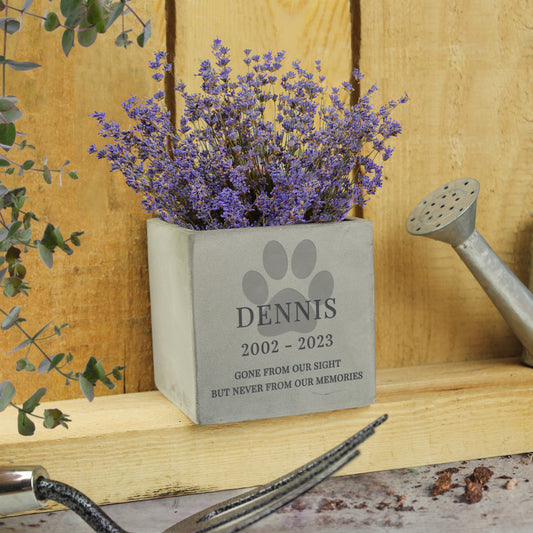 Personalised Pet Paw Print 10cm Concrete Pot