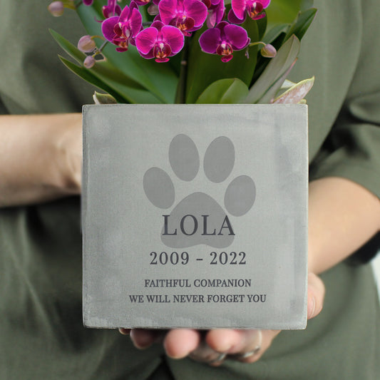 Personalised Pet Paw Print 10cm Concrete Pot