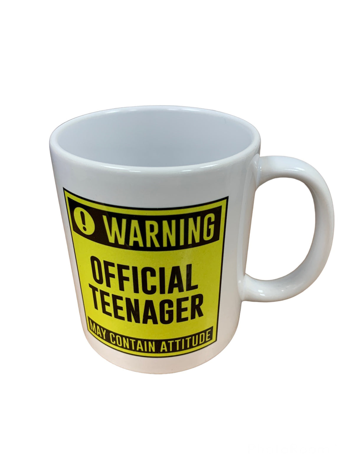 Warning Official Teenager May Contain Attitude Mug