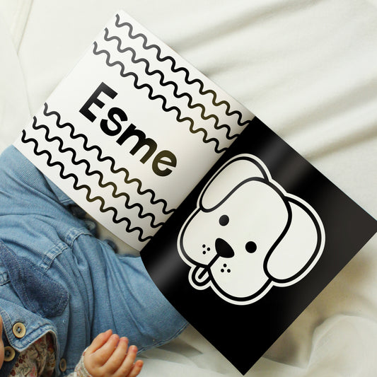 High Contrast Black and White Baby Sensory Book