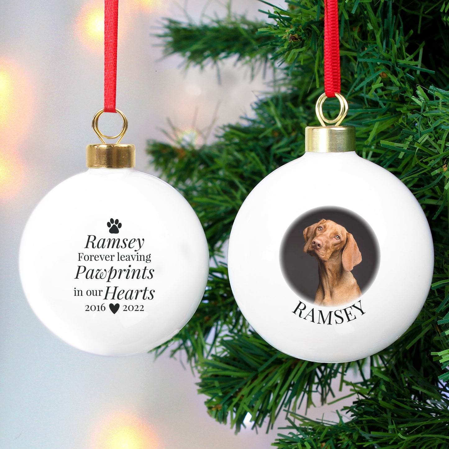 Personalised Paw Print Pet Memorial Bauble