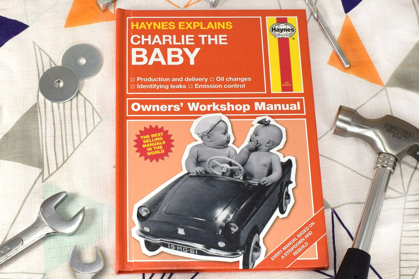 Personalised Haynes Explains Babies