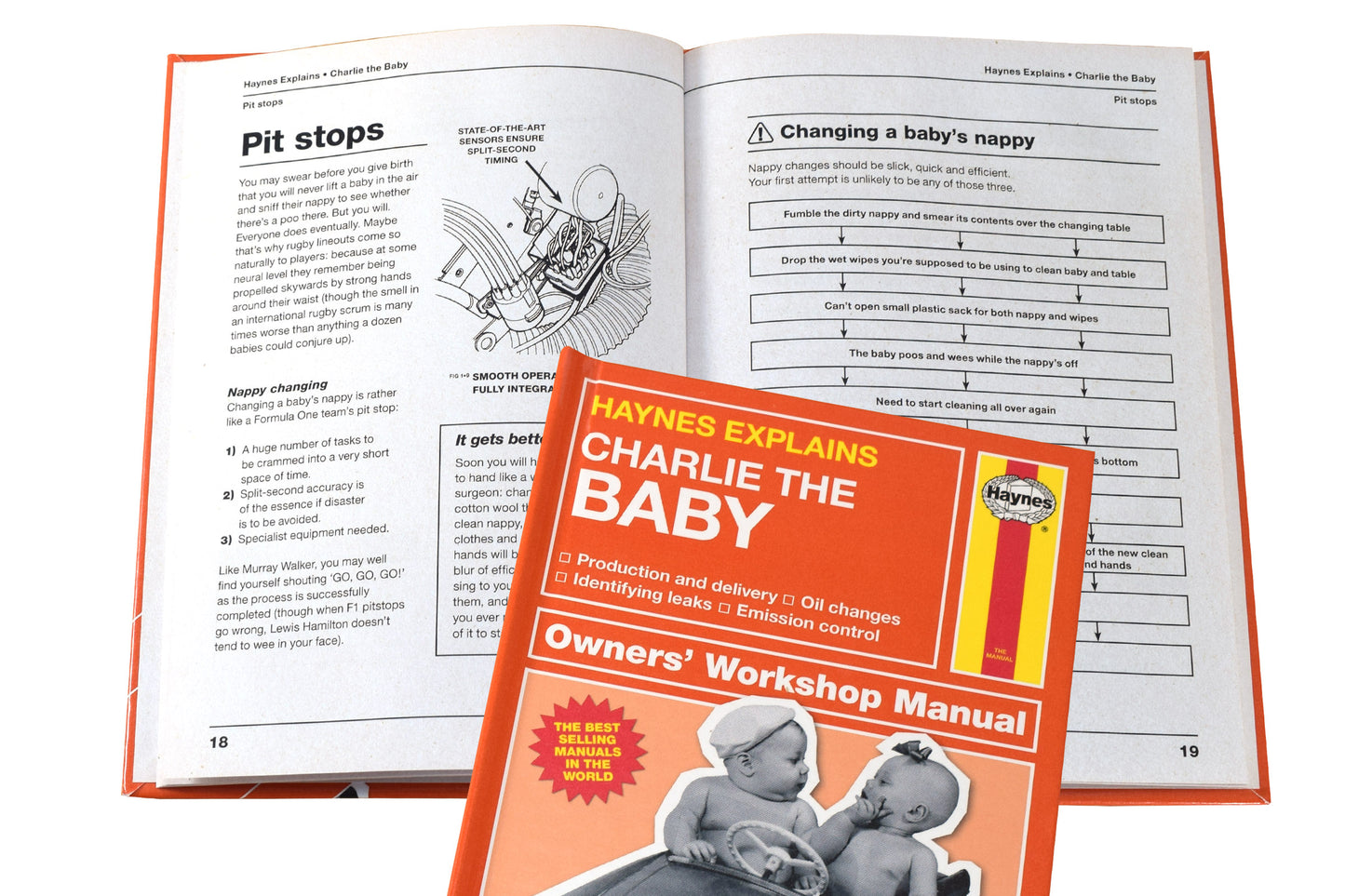 Personalised Haynes Explains Babies