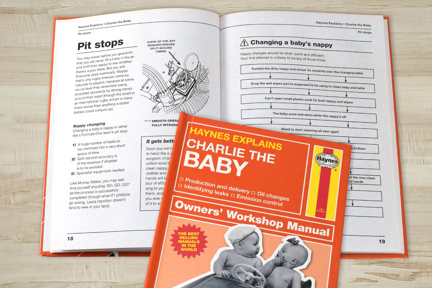 Personalised Haynes Explains Babies