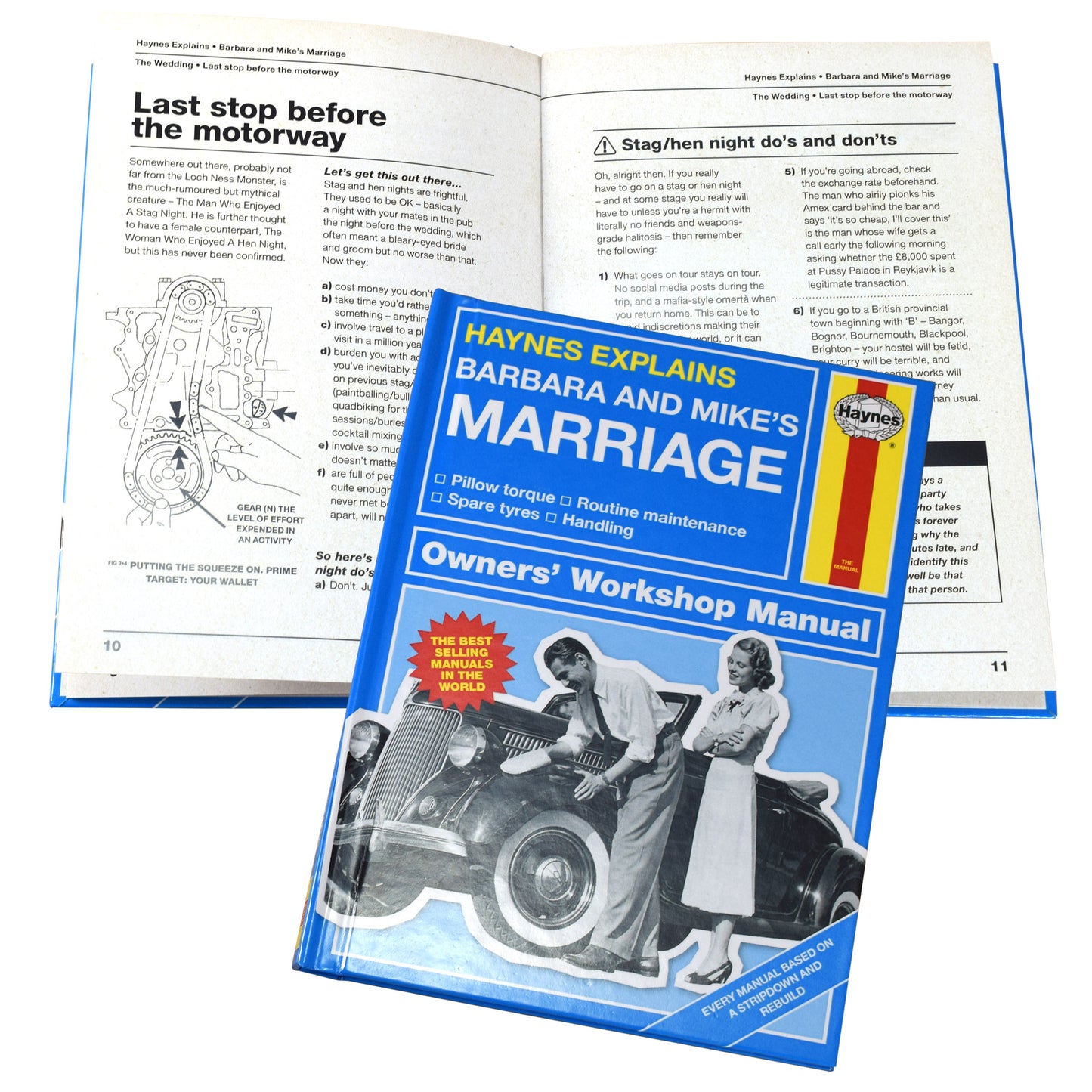 Personalised Haynes Explains Marriage