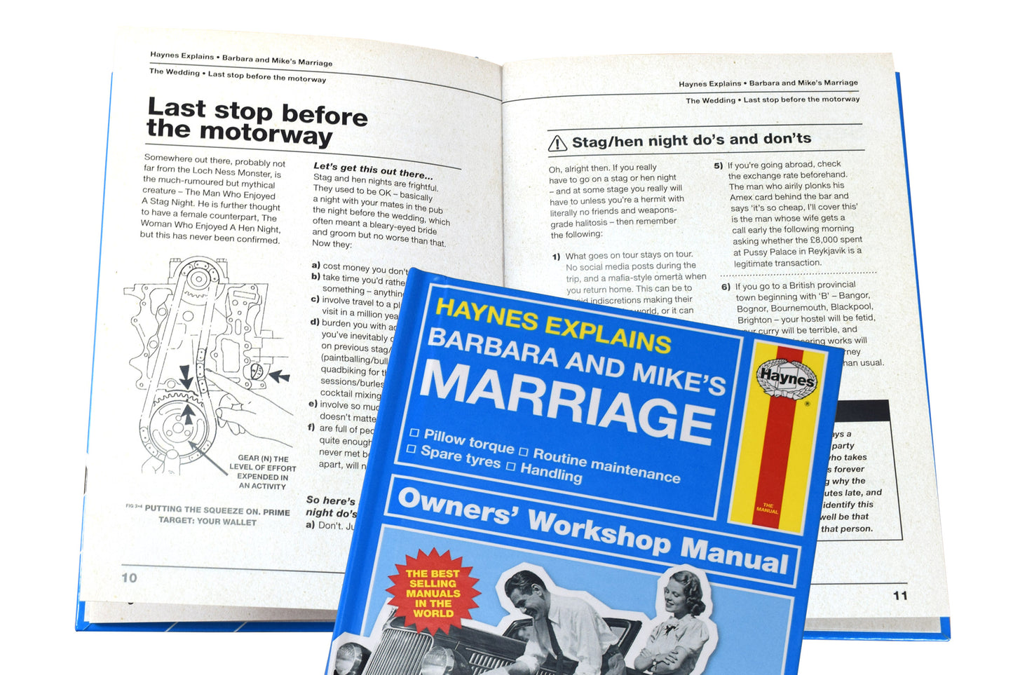 Personalised Haynes Explains Marriage