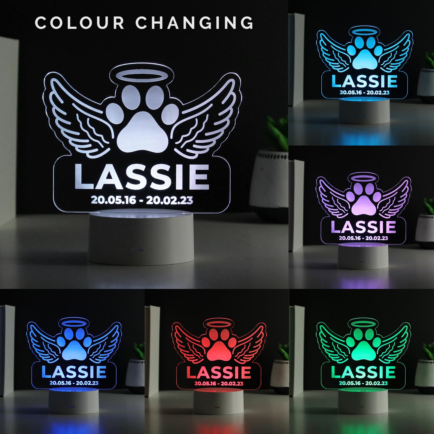 Pet Memorial Personalised LED Light