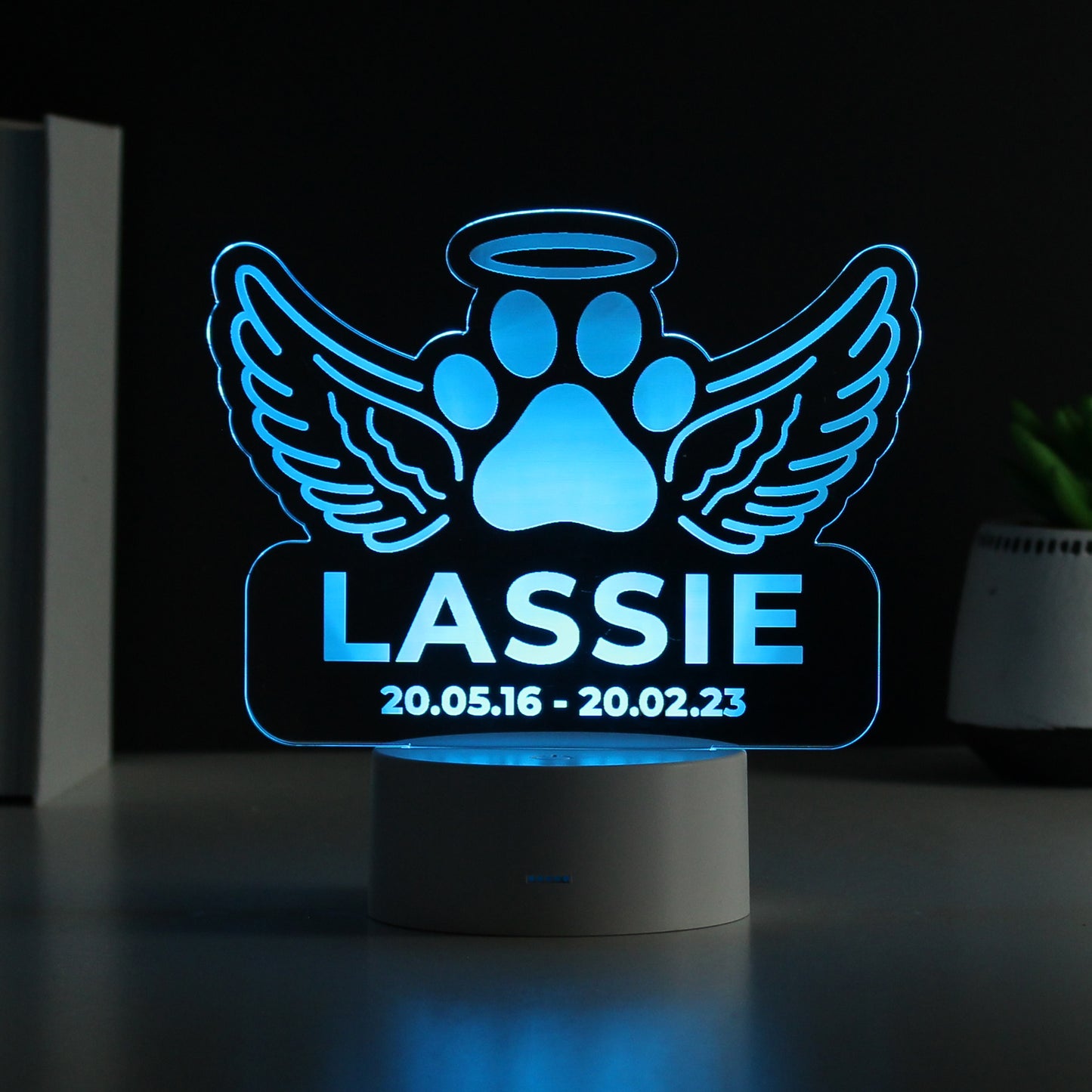 Pet Memorial Personalised LED Light