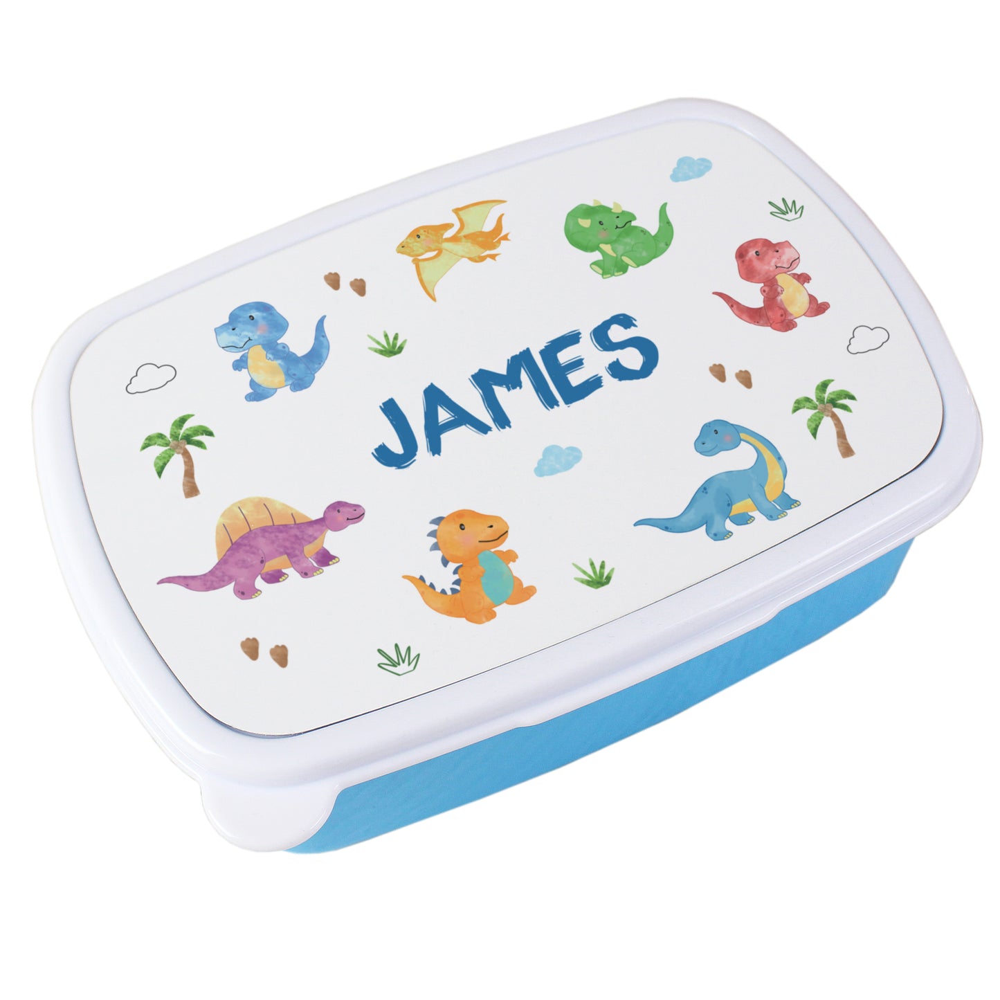 Personalised Dinosaur Blue Kids Lunch Box