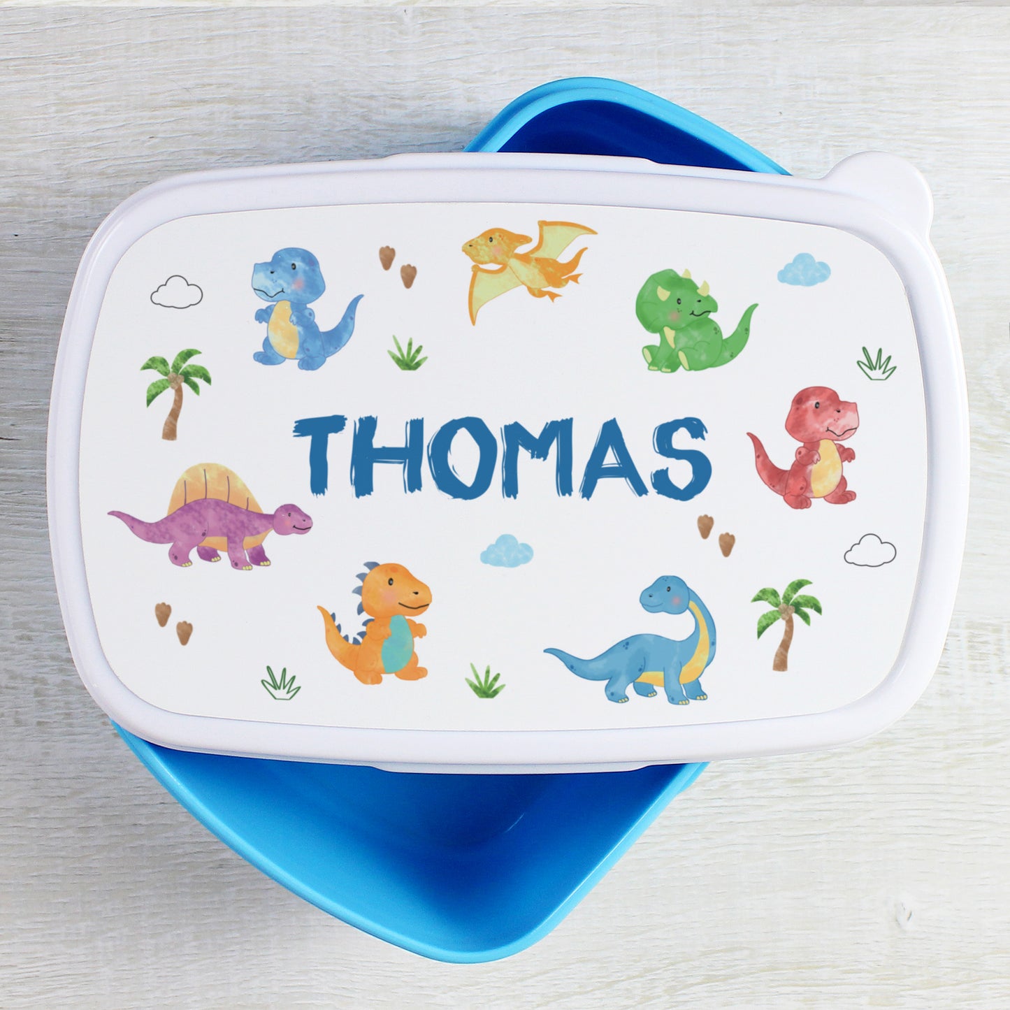Personalised Dinosaur Blue Kids Lunch Box