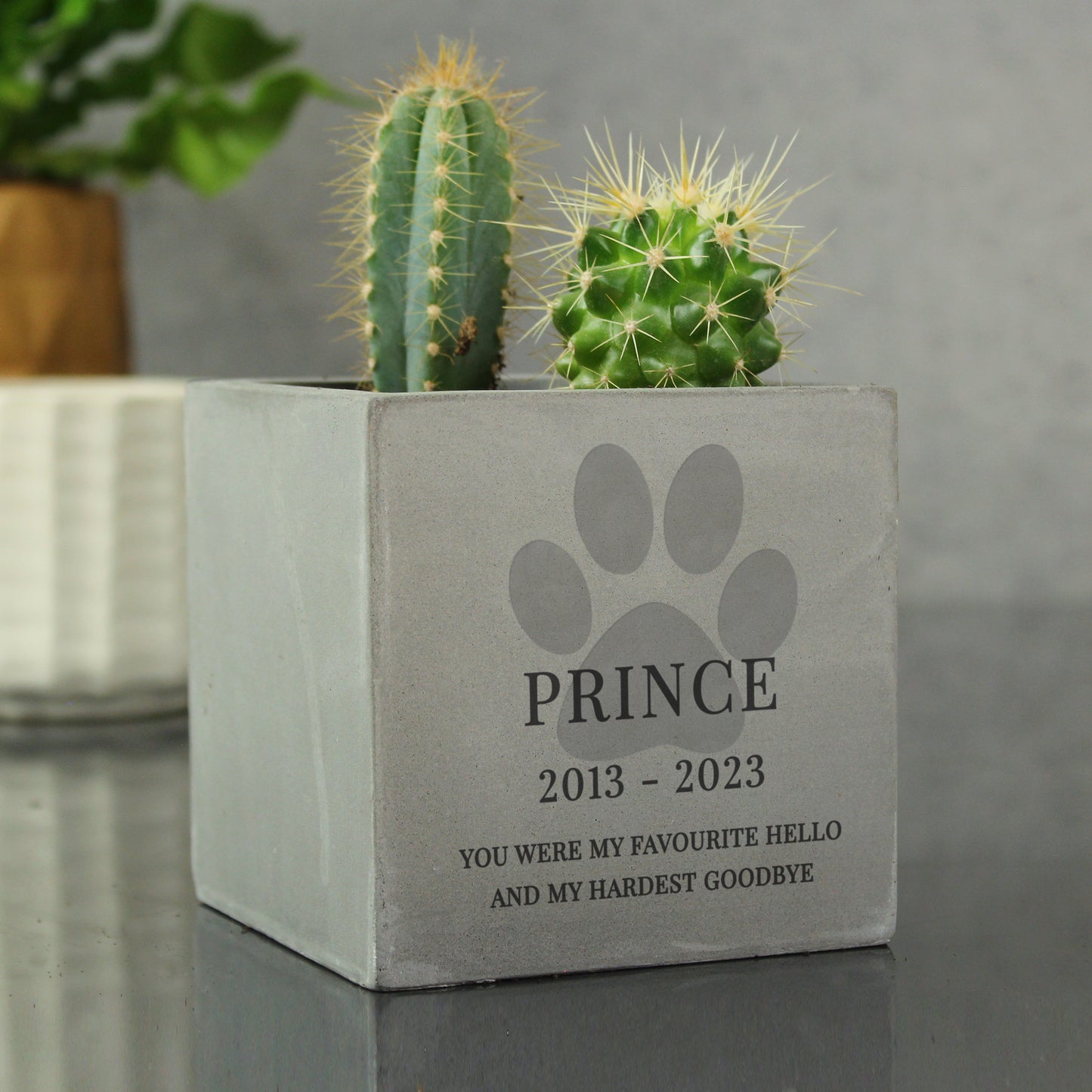 Personalised Pet Paw Print 10cm Concrete Pot