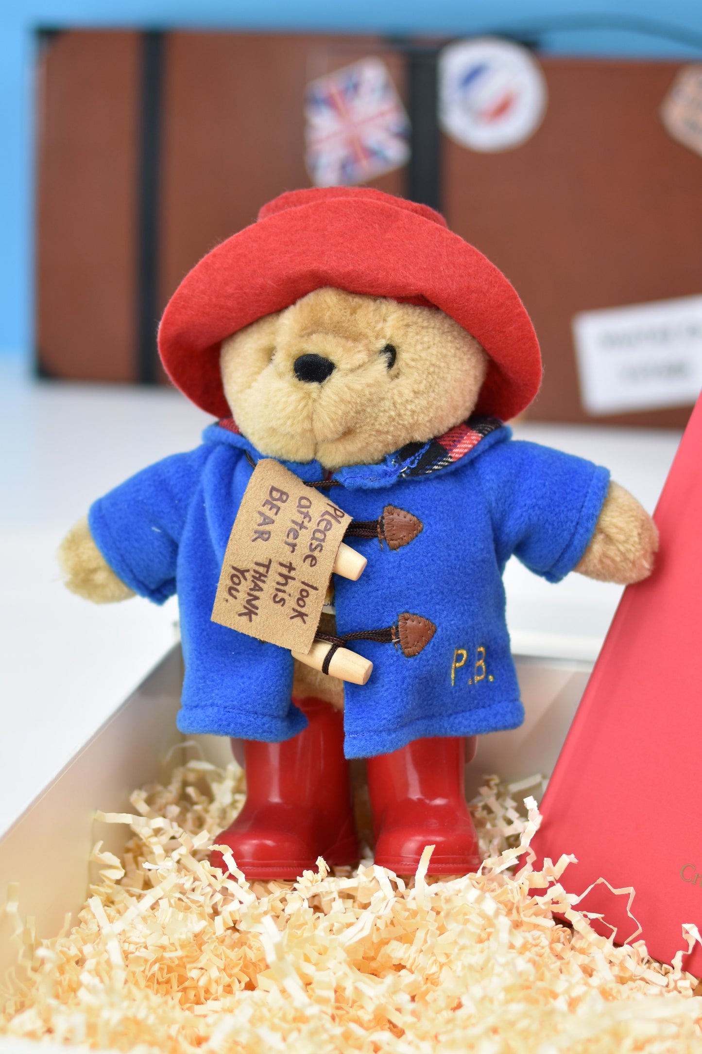 Paddington Bear Personalised Story Book and Plush Toy Giftset