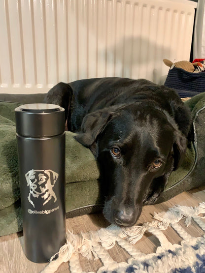 Personalised Engraved Labrador Temperature Display Hot and Cold Digital Flask