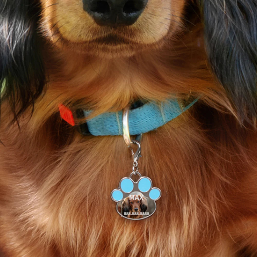 Paw Print Shaped Dog ID Tag with Blue Edge